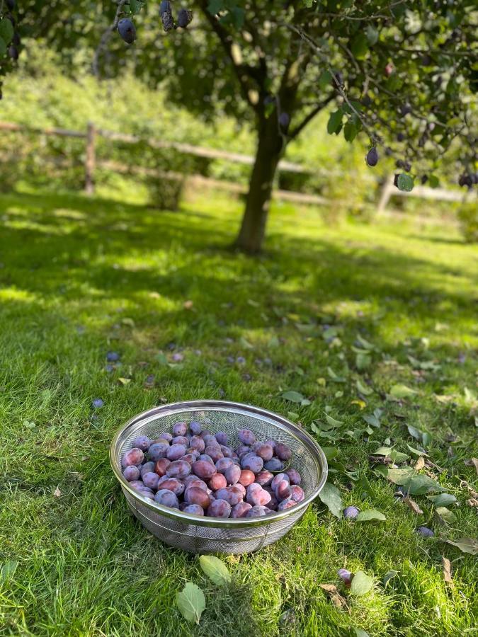 Klimatyczny Dom Kopaczowka Przytulna Miejscowka Z Kominkiem, Sauna I Ogrodem U Podnoza Gor Stolowych 라트코프 외부 사진